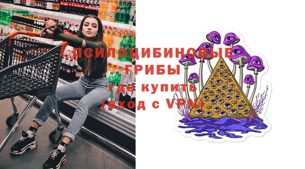 твердый Алексеевка
