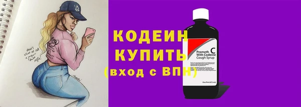 гашик Пестово